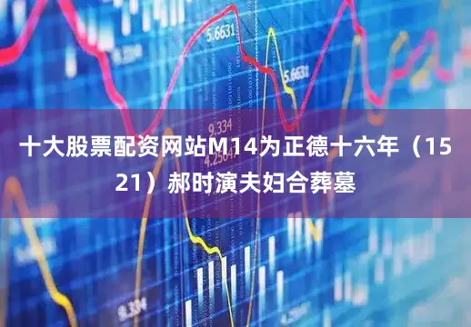 十大股票配资网站M14为正德十六年（1521）郝时演夫妇合葬墓
