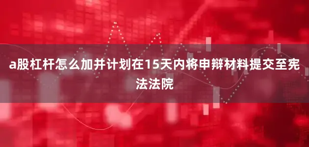 a股杠杆怎么加并计划在15天内将申辩材料提交至宪法法院