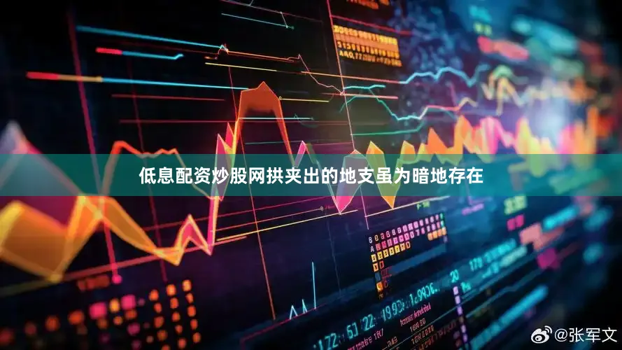 低息配资炒股网拱夹出的地支虽为暗地存在