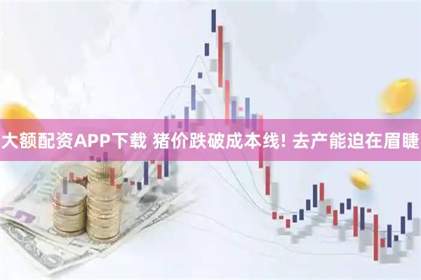 大额配资APP下载 猪价跌破成本线! 去产能迫在眉睫