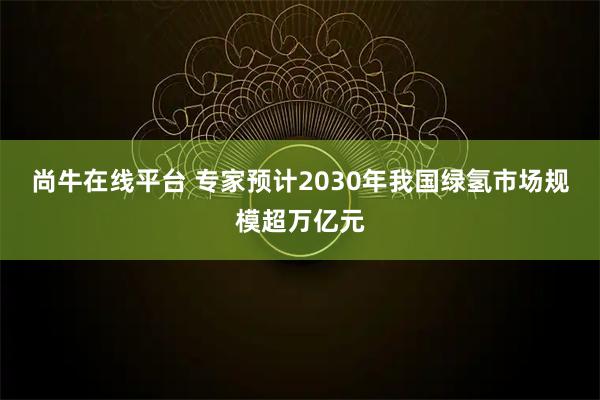 尚牛在线平台 专家预计2030年我国绿氢市场规模超万亿元
