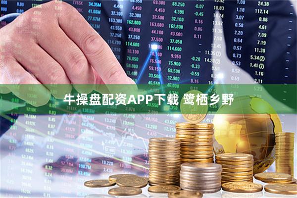 牛操盘配资APP下载 鹭栖乡野